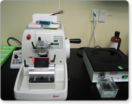 Rotary microtome(Leica, Leica RM2145) Rotary microtome(Leica, Leica RM2145)
